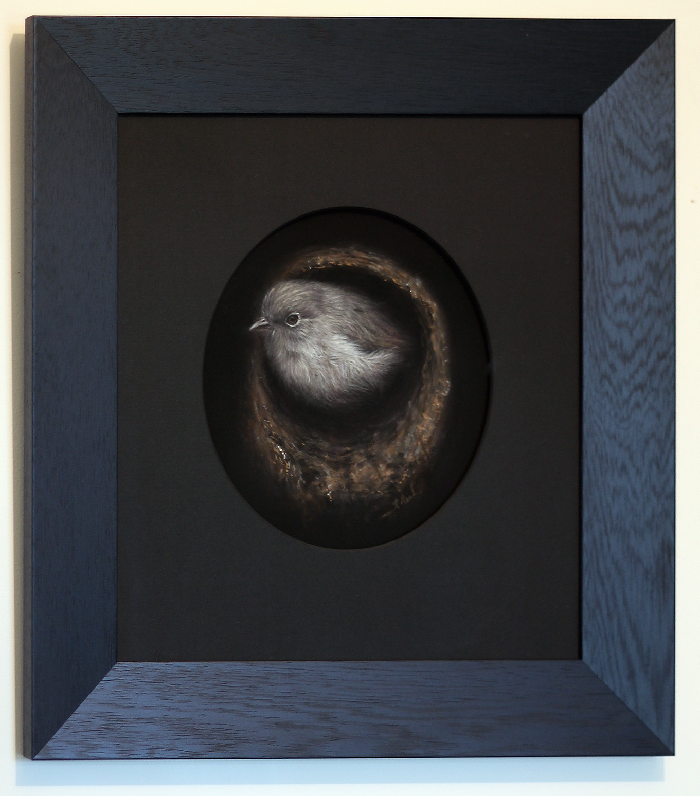 Stewart Island robin painting by New Zealand wildlife artist Karen Neal